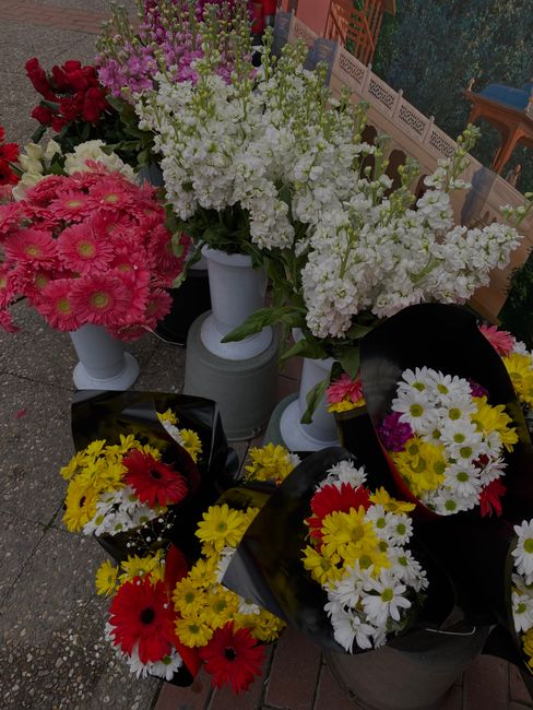 A display of fresh floral arrangements and bouquets featuring pink chrysanthemums, white and purple stock, and yellow and red gerbera daisies, arranged in white vases and black wrapping paper. The flo